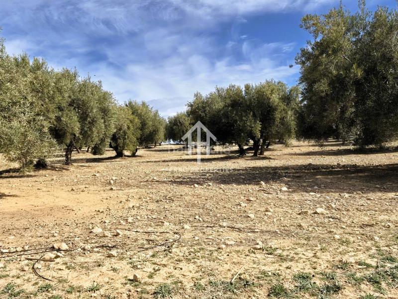 Foto 08b32fb0-65b5-43a2-a734-404106e03772. Finca rústica  de cultivo en Chimeneas