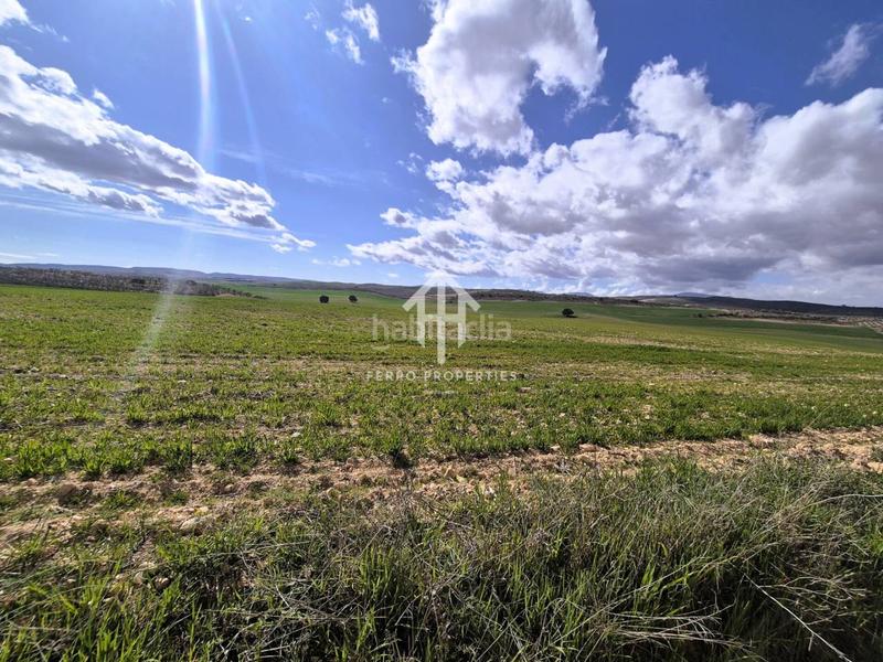 Foto 0bf64db0-a46d-4d71-a386-4a3f858da42a. Finca rústica  de cultivo en Chimeneas