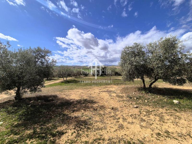 Foto 36c95616-cad1-4319-8220-54713b14ed98. Finca rústica  de cultivo en Chimeneas