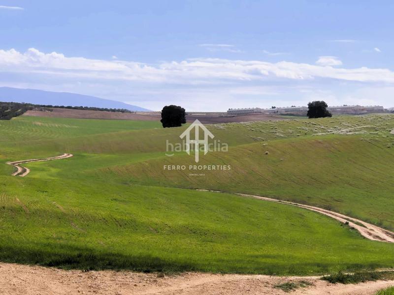 Foto 4e39d54b-a239-4c76-9227-8d61218dd09d. Finca rústica  de cultivo en Chimeneas