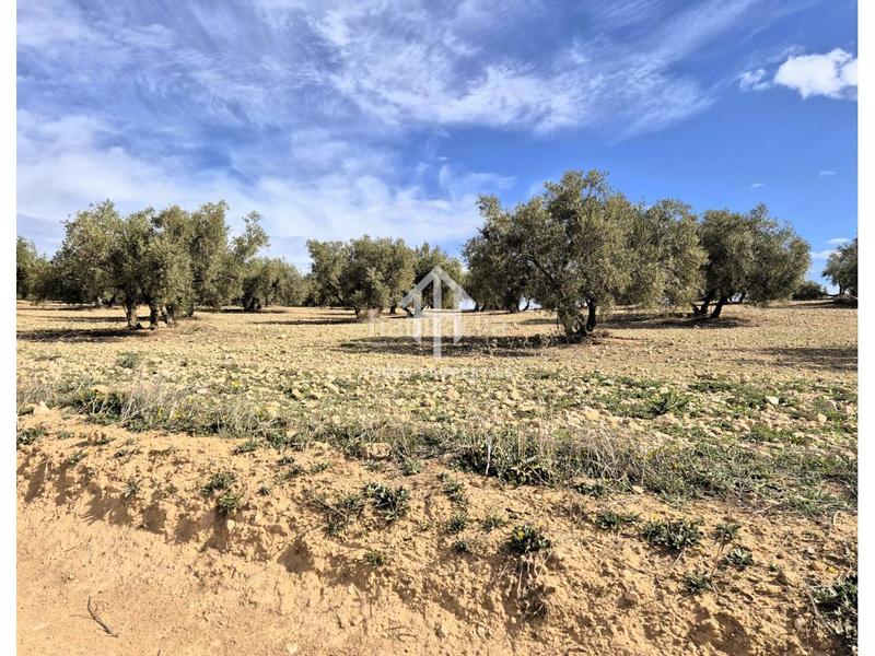 Foto 5acf1958-f63a-4e87-877a-e2678618d8f7. Finca rústica  de cultivo en Chimeneas