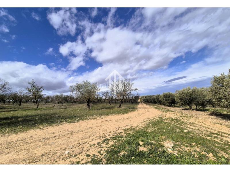 Foto 5bdd6ce4-d157-4bcb-9604-bcbdbcfffb85. Finca rústica  de cultivo en Chimeneas