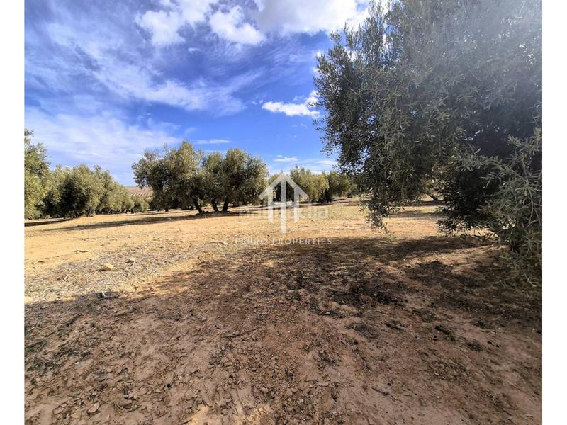 Foto 69a54777-c698-47a6-ac74-26dc17ff4781. Finca rústica  de cultivo en Chimeneas