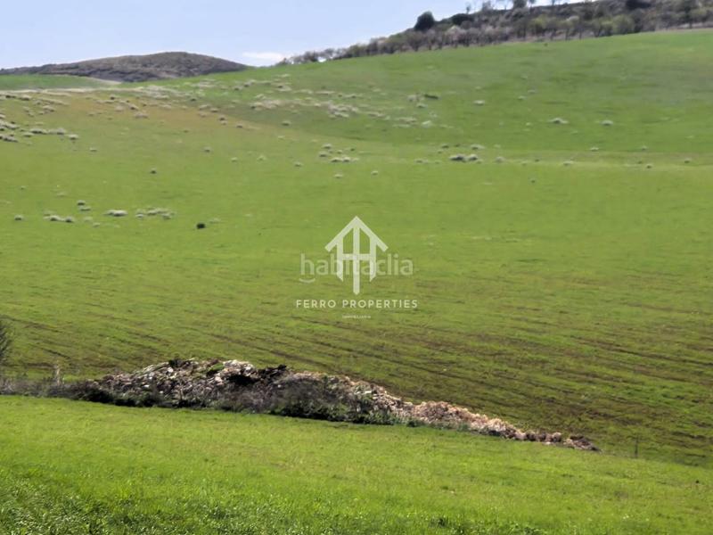 Foto 844607fb-85f6-4e6c-b1a3-c327d97a535b. Finca rústica  de cultivo en Chimeneas
