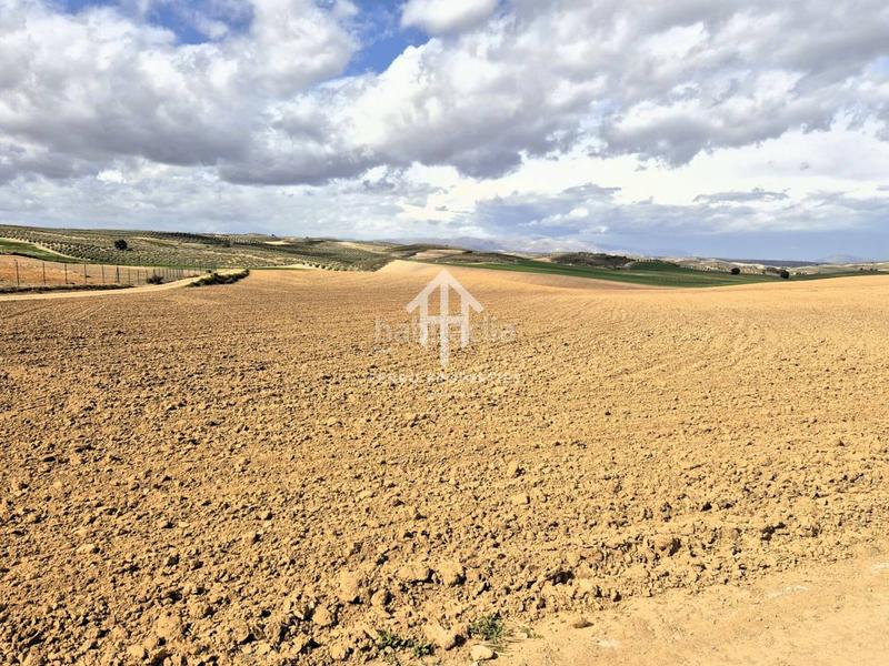Foto 92445697-ba13-4a1b-b6c2-deac20ec1d78. Finca rústica  de cultivo en Chimeneas
