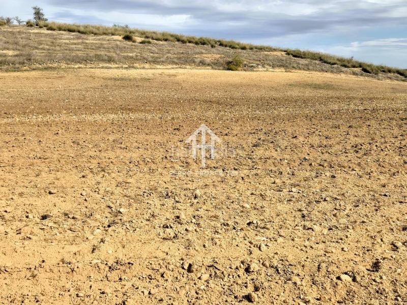Foto 96874681-20c4-4d4f-8730-0ce1e2778137. Finca rústica  de cultivo en Chimeneas