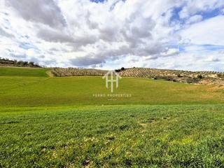 Propriété à Chimeneas. Finca rústica de cultivo