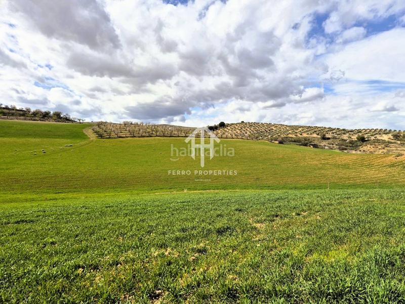 Foto ac72d1b2-f3bf-4466-82f7-196ec5494543. Finca rústica  de cultivo en Chimeneas