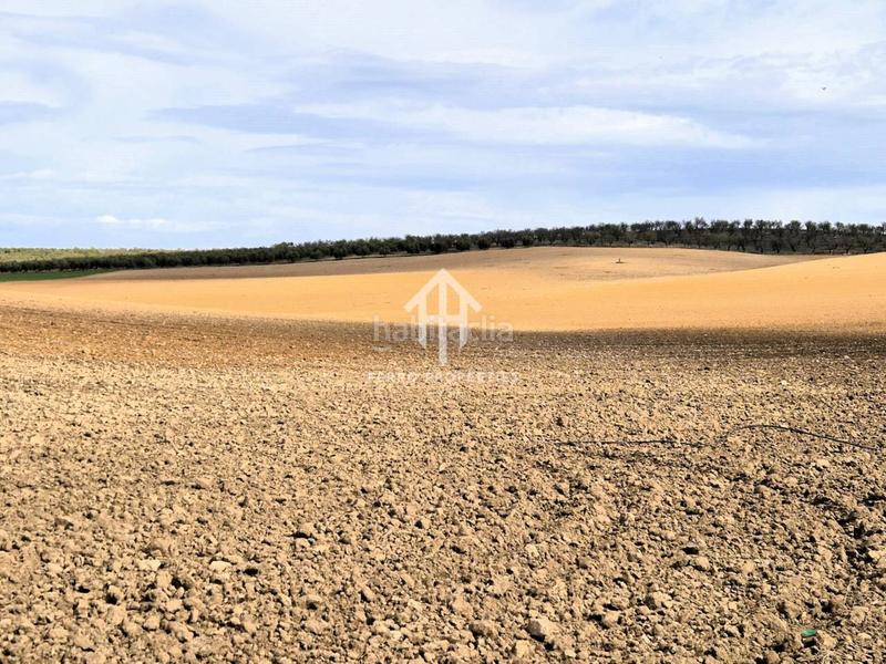 Foto b1233b34-02f6-4499-a94f-ccf464e76307. Finca rústica  de cultivo en Chimeneas