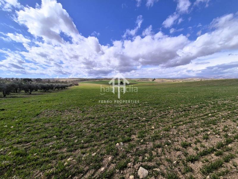 Foto b7744513-6d64-4d73-bb2a-d1d7f6649495. Finca rústica  de cultivo en Chimeneas