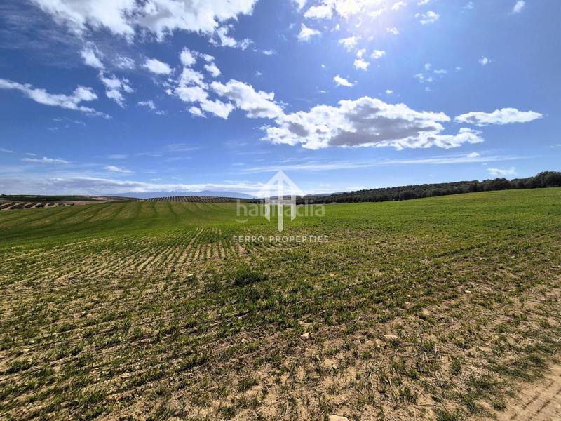 Foto c75697c2-61fb-4b67-987a-b9b9664ff5d1. Finca rústica  de cultivo en Chimeneas