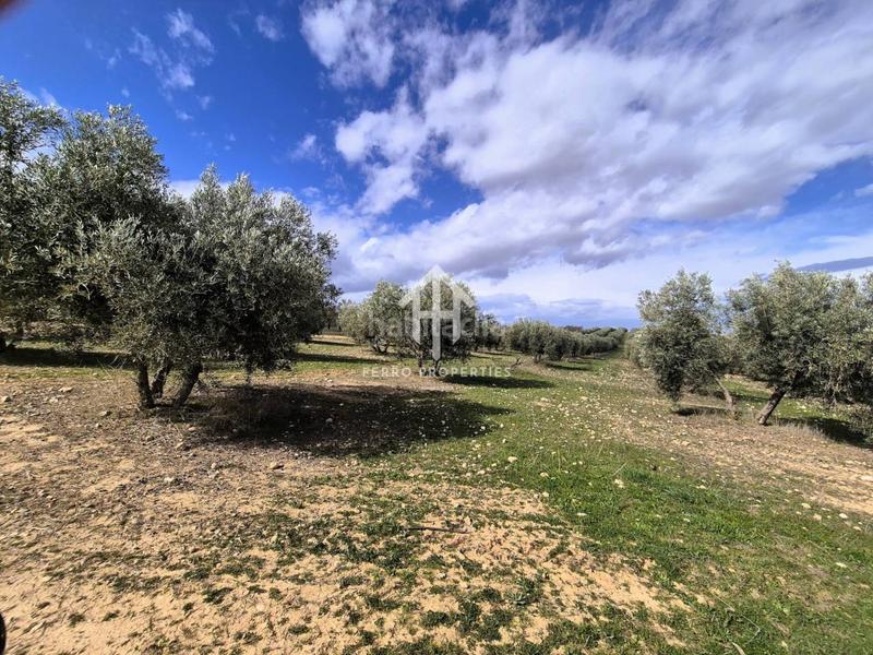 Foto c893b601-d368-483b-bb07-12e314303563. Finca rústica  de cultivo en Chimeneas