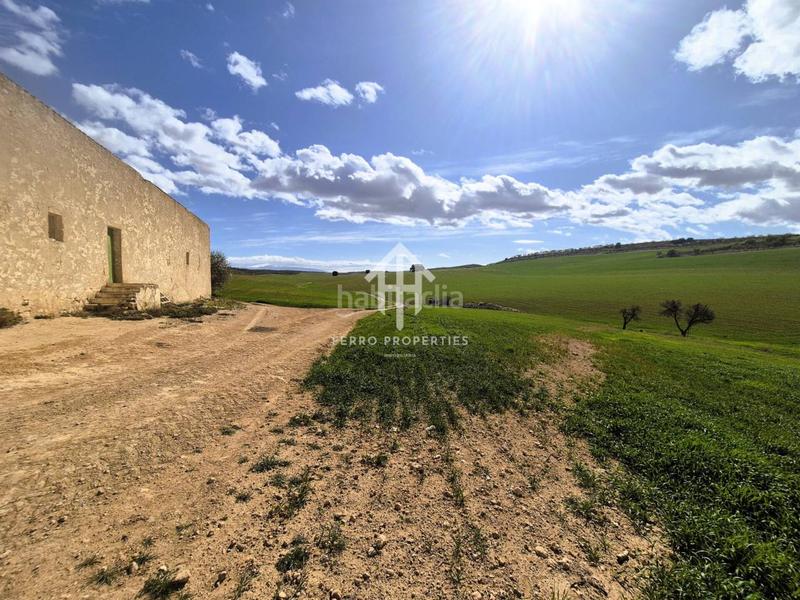 Foto c9a177f2-9b22-4ab6-b435-09a0c53c8725. Finca rústica  de cultivo en Chimeneas