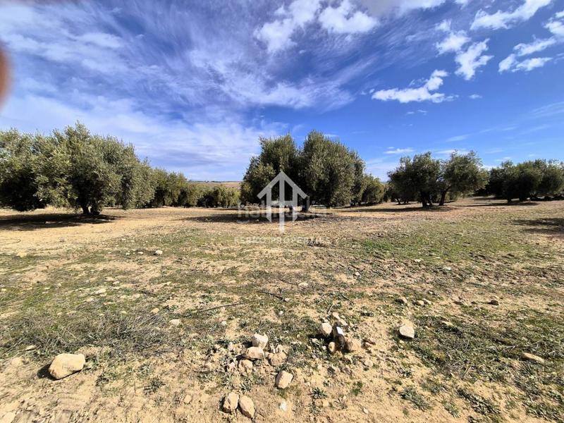 Foto cd2e7233-f09e-487f-99ed-ab59561cf895. Finca rústica  de cultivo en Chimeneas