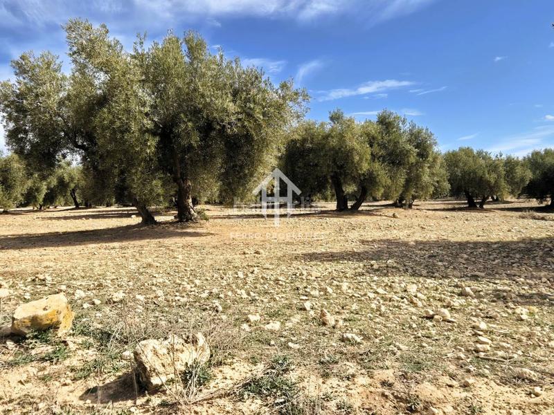 Foto d4662aa0-d029-4758-92d3-17002d316804. Finca rústica  de cultivo en Chimeneas