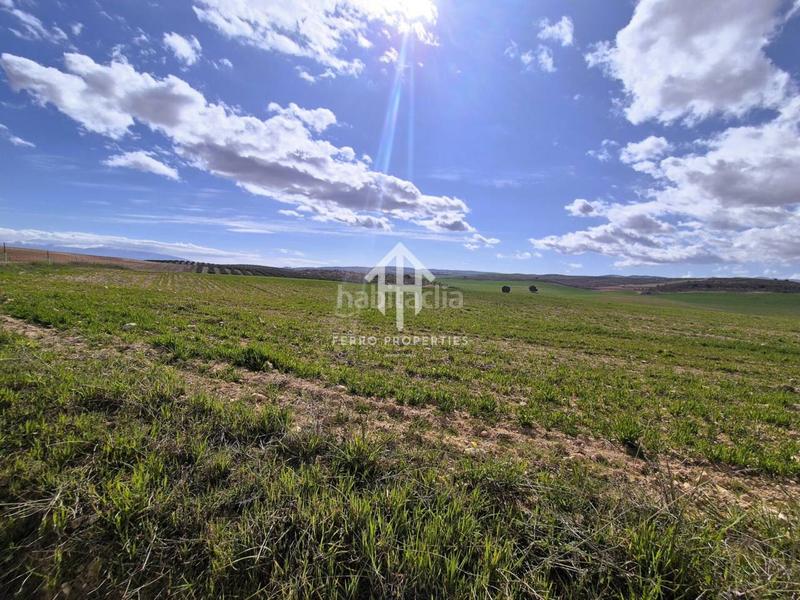 Foto e8e2a706-c34e-4501-ad49-4c8bbbf13504. Finca rústica  de cultivo en Chimeneas