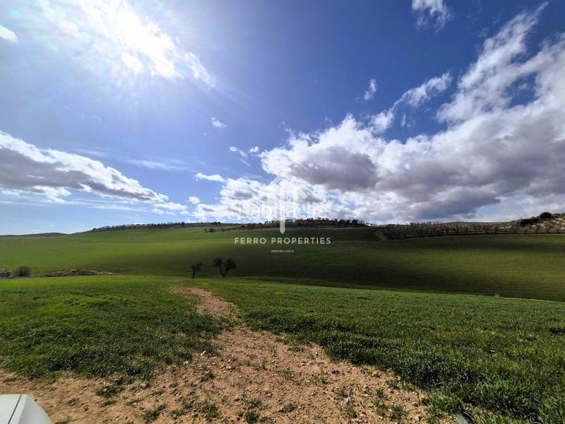 Foto f756f38d-89c0-4cce-81d3-d98322490268. Finca rústica  de cultivo en Chimeneas