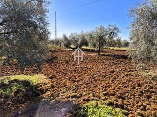 Terreny residencial a Loja. Venta de finca rústica en loja