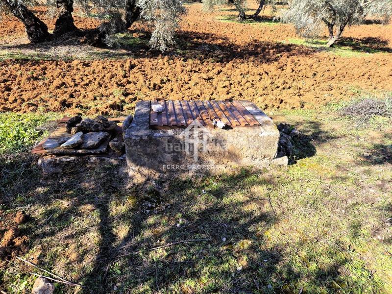 Foto 14446e2c-442d-4c68-8dbc-a7bf63776f8a. Propriété dans Loja