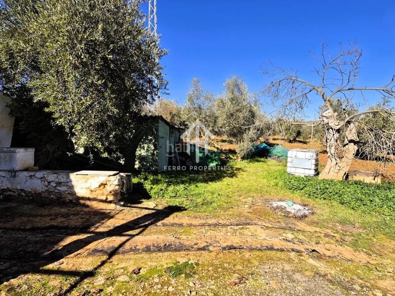 Foto 17c73a72-9ac6-48de-a42c-a1a122c124d8. Propriété dans Loja