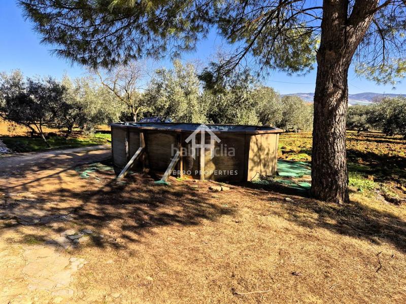 Foto 37985680-0da3-4201-9265-56337cf1eed4. Propriété dans Loja