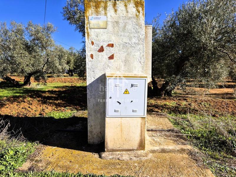 Foto 58f2c608-ca3f-4e47-bf4e-aec141ca8342. Propriété dans Loja