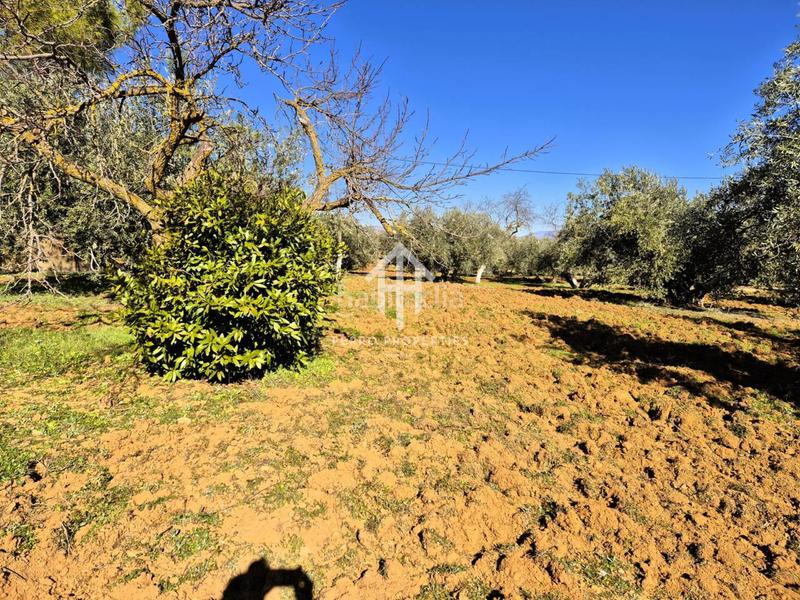 Foto a00bf783-e2e0-4a2d-b0f5-197fe5c794c8. Propriété dans Loja