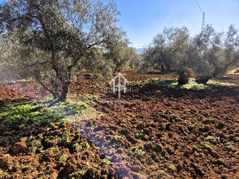 Foto b798df3d-f69f-42ed-a97a-98b101114c57. Propriété dans Loja