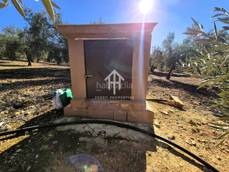 Foto b986d4bd-989c-400c-b224-18feb8dd1f10. Propriété dans Loja