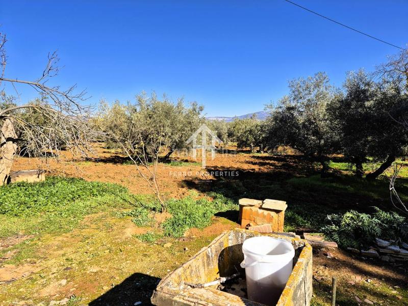 Foto c299122f-c392-476d-882f-d3cd0bee91c5. Propriété dans Loja