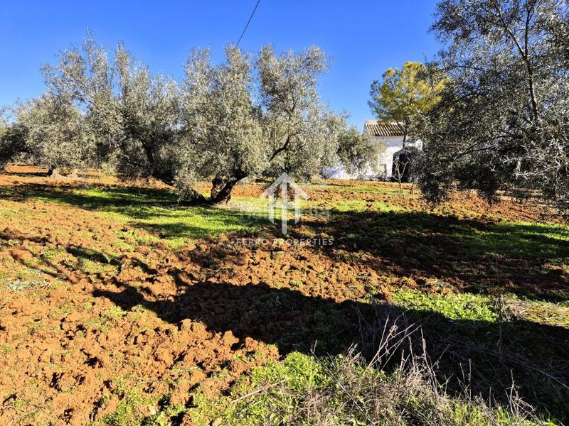 Foto cec07a0f-b863-43d9-b4fa-0ac875c5f595. Propriété dans Loja