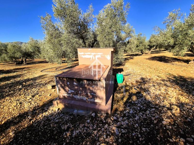 Foto d8811fcc-2880-4547-9751-5014486c2a85. Propriété dans Loja