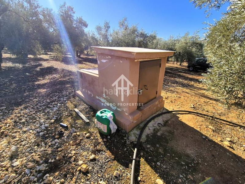 Foto fb225406-69f2-4585-a679-49117d558bed. Propriété dans Loja