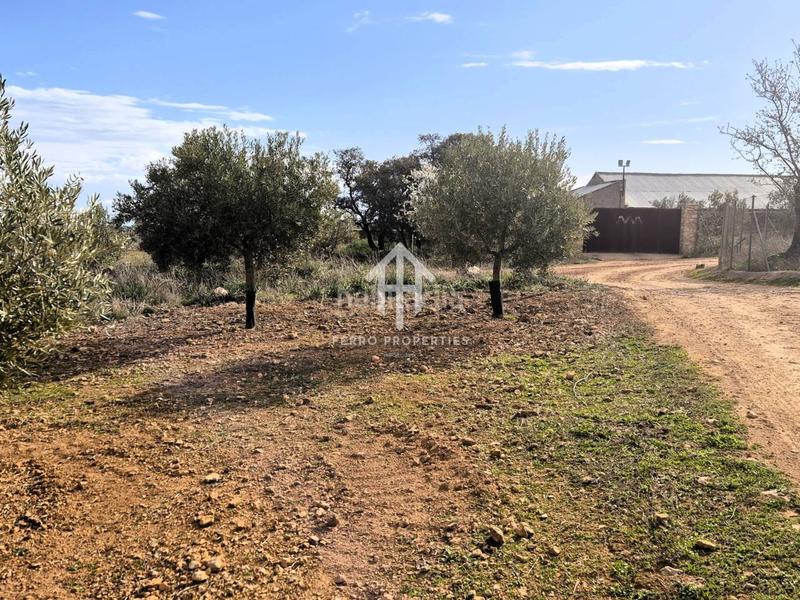 Foto 6e260db5-2287-4d0e-b0fb-9a0b518bf6d1. Terreno residencial finca rústica de 20 hectáreas con olivos, almendros, riego automatizado y certificación ecológica granada en Salar