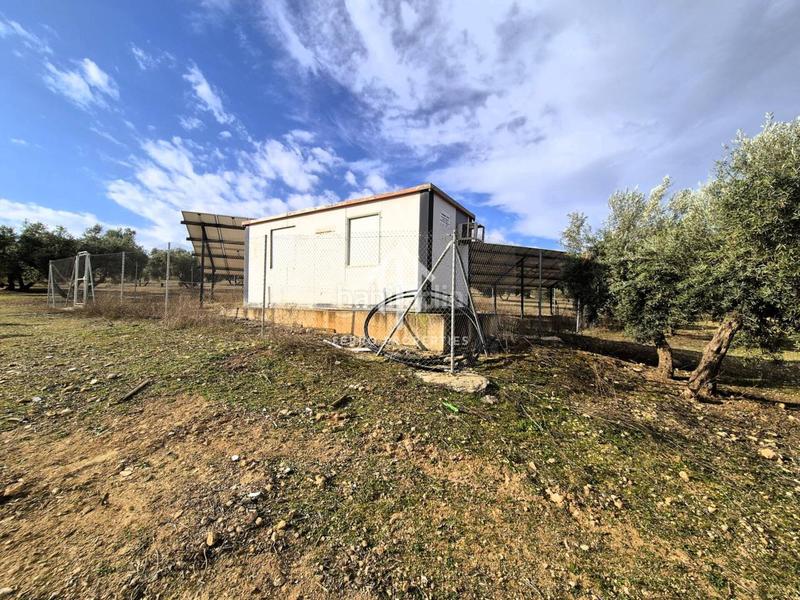 Foto da80f2ff-bd7d-4566-932c-af2372d8f2a0. Terreno residencial finca rústica de 20 hectáreas con olivos, almendros, riego automatizado y certificación ecológica granada en Salar