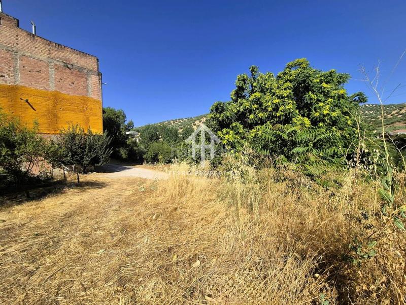 Foto a3248807-9cca-4d8f-9d30-8bef7f0345a4. Terrain résidentiel dans Algarinejo
