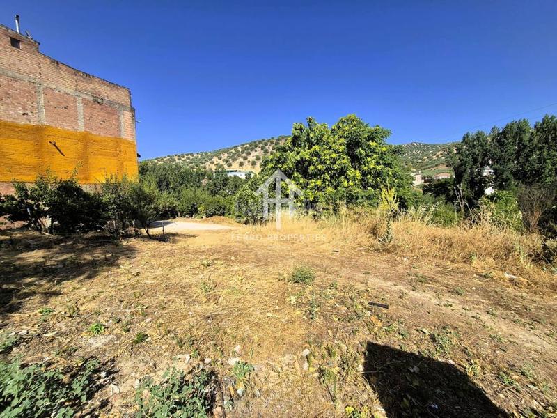 Foto d1effbbd-3c8a-4c72-b10d-b28d3f075a0d. Terrain résidentiel dans Algarinejo