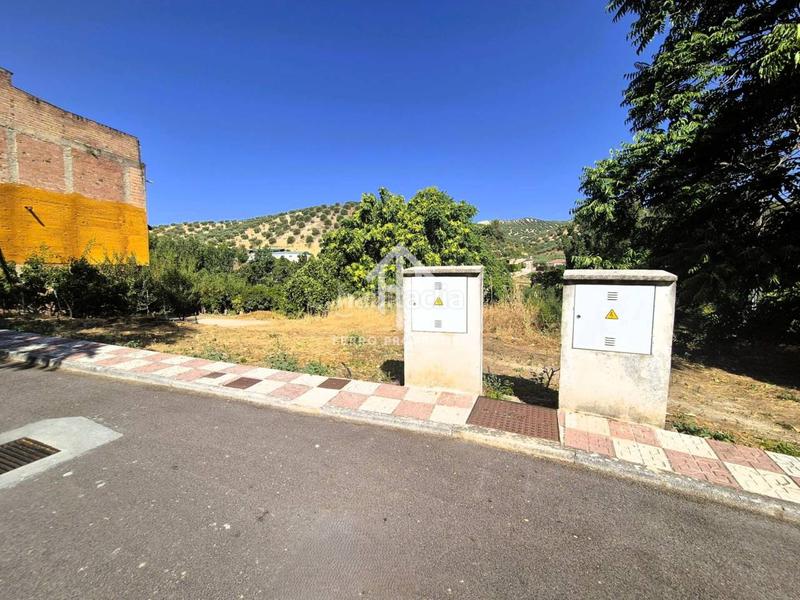 Foto d6b23157-a1af-4ebc-8542-495b3bf94150. Terrain résidentiel dans Algarinejo