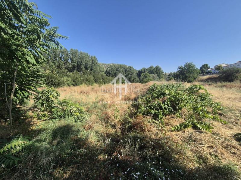 Foto 2d2d1292-8b8d-4033-b4ea-f5a7cb2c041c. Landgut in Algarinejo