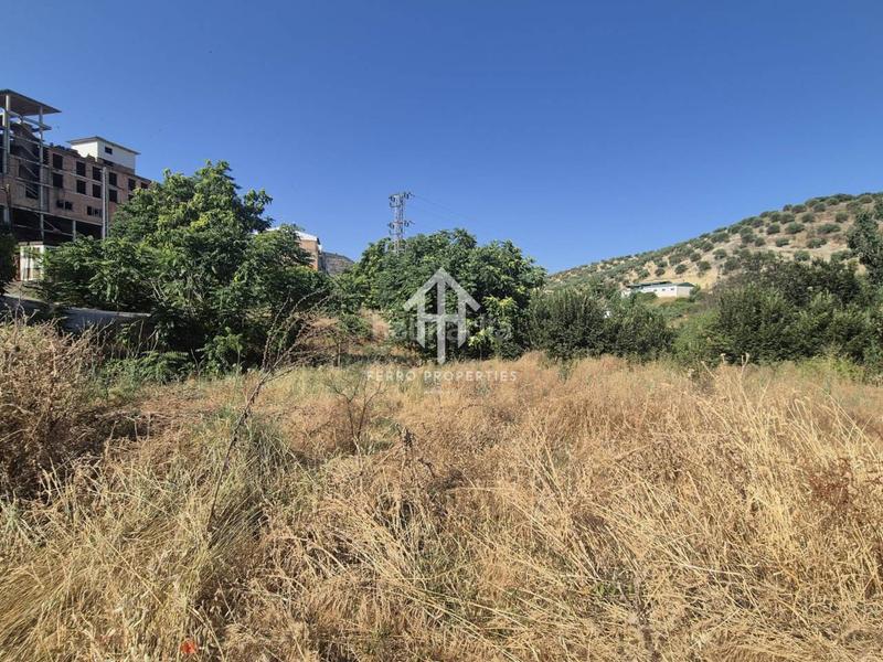 Foto 45c6e6c3-9933-4eaf-9d4f-51131240d2f5. Landgut in Algarinejo