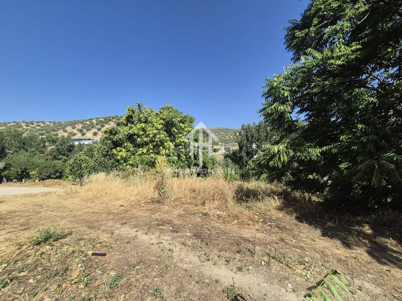 Foto 56d68825-6284-4e1d-83f9-6a2524c517ae. Landgut in Algarinejo