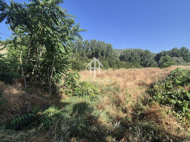 Foto 7d6c3bc1-8ff5-455c-8606-0eb50d0c3894. Landgut in Algarinejo