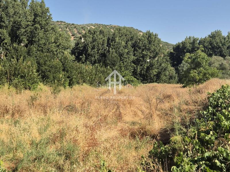 Foto 7ec9f7ad-25e4-4115-9929-f5c0b053ea53. Landgut in Algarinejo