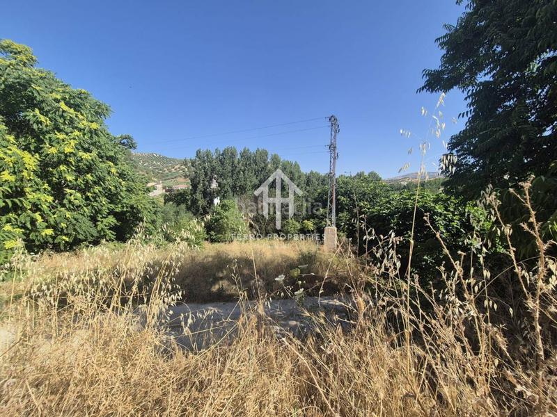 Foto cfe3f998-32a8-4664-b061-b3245f84f4e3. Landgut in Algarinejo