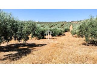 Finca rústica a Loja. Venta de terreno en riofrío