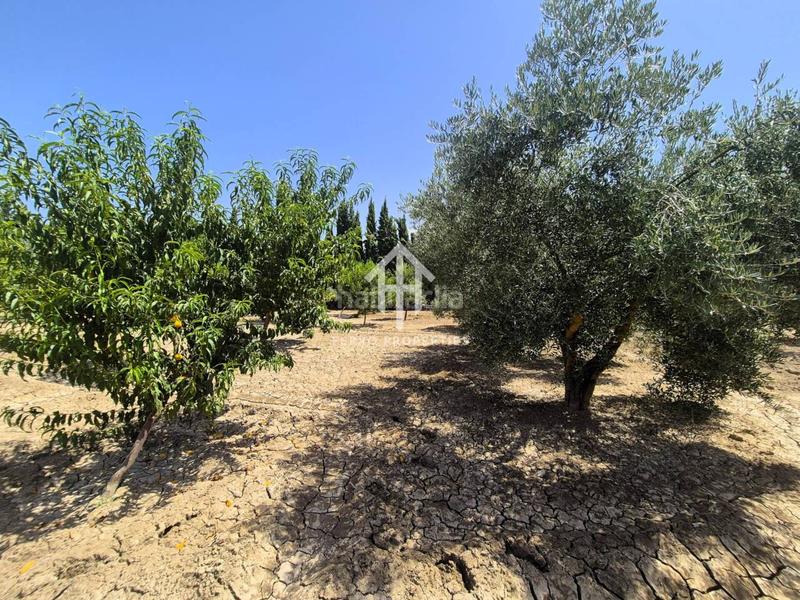 Foto 1354f6f3-390b-4ee3-b407-dac7f5d50019. Terrain résidentiel dans Huétor Tájar