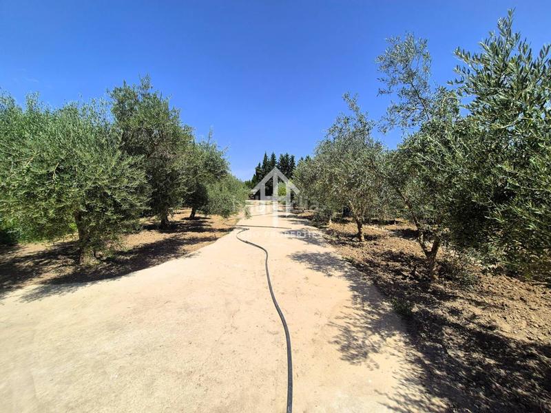 Foto 634e50f6-a7bf-46ad-895f-a2ddb0981a4c. Terrain résidentiel dans Huétor Tájar