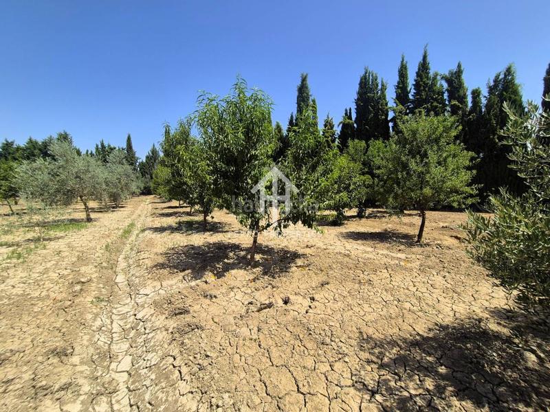 Foto bda74820-252d-40e1-9edc-8b7f2c20744b. Terrain résidentiel dans Huétor Tájar