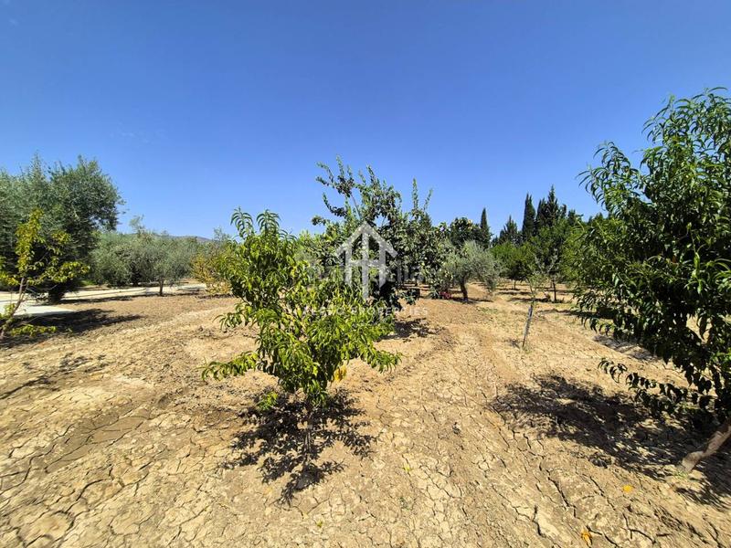 Foto e9f7e821-bd50-4426-a652-c7c080f0d1f8. Terrain résidentiel dans Huétor Tájar