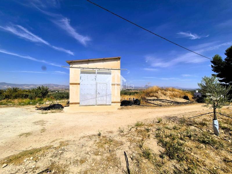 Foto 46bb0468-7afb-4b3b-83a7-c1ca7e8cfc87. Finca rústica a Moraleda de Zafayona